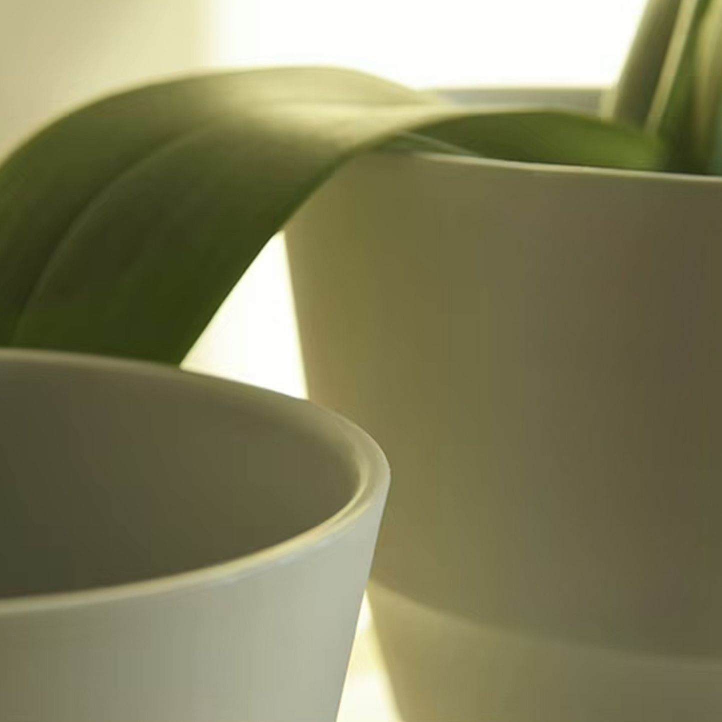 5.9" Luna Plant Pot - Set of 2