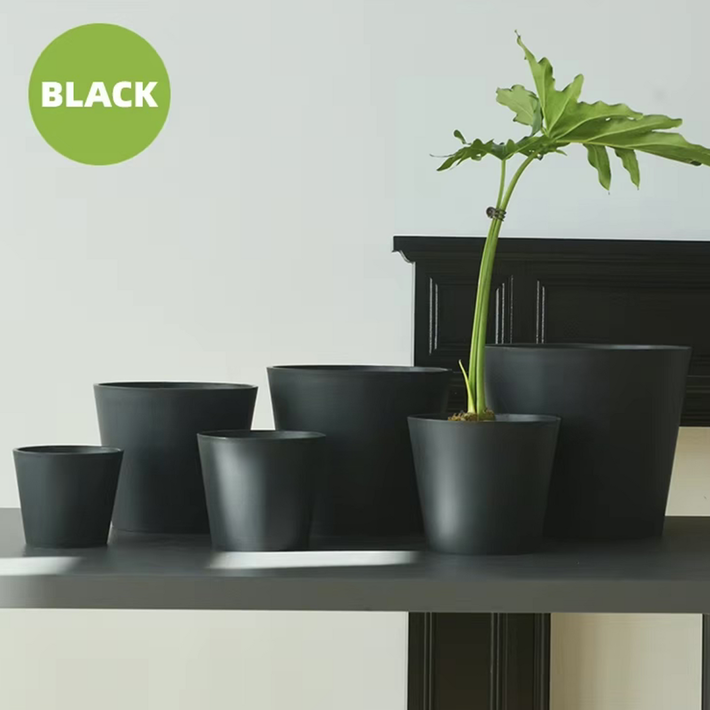 9.0" Sylva Plant Pot - Set of 2