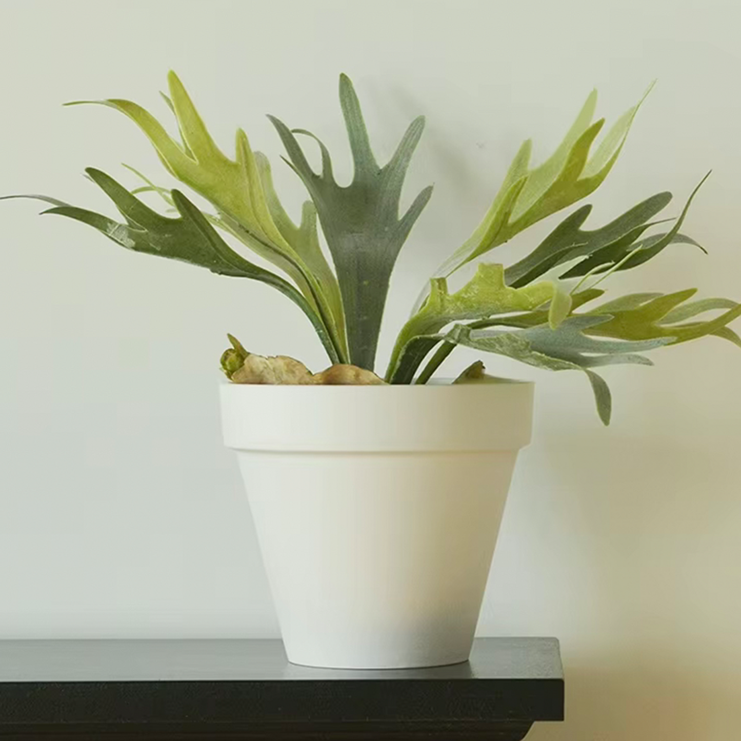 10.6" Terra Plant Pot - Set of 2