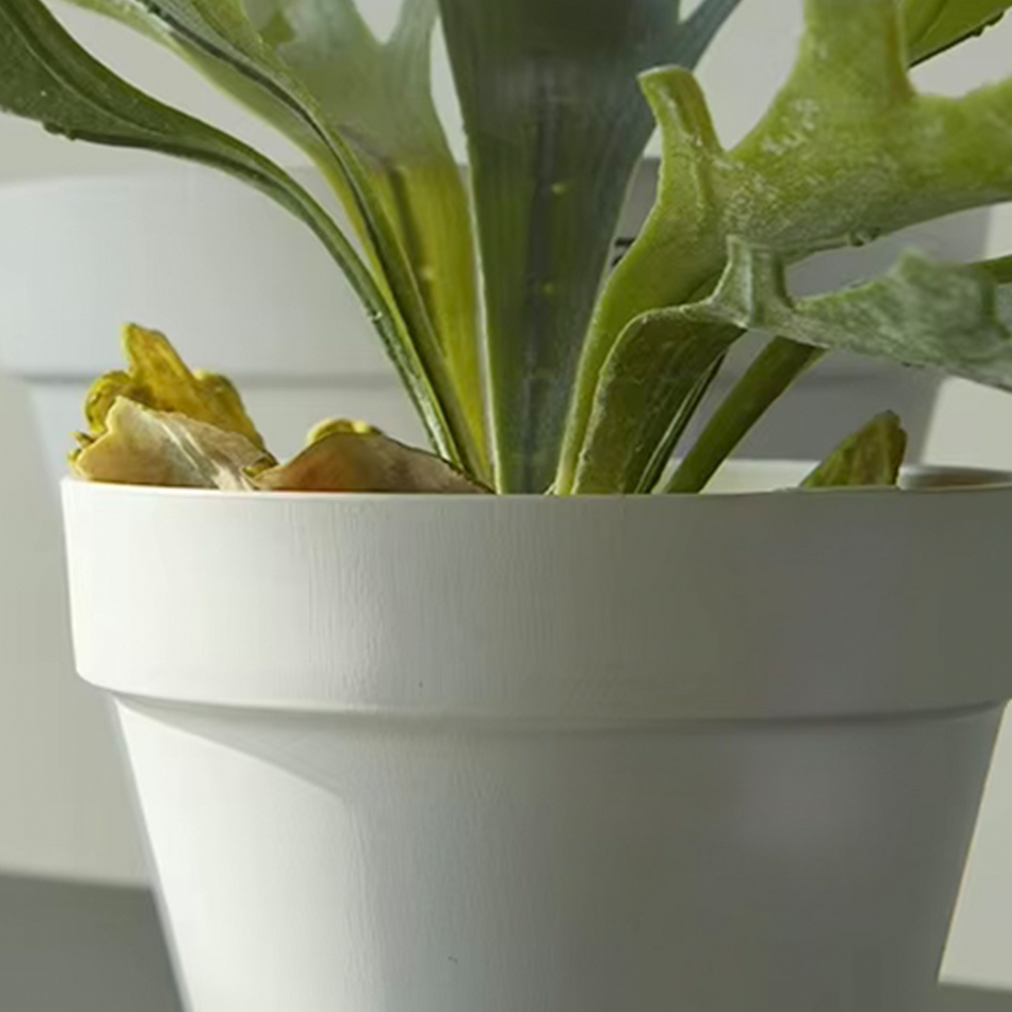 10.6" Terra Plant Pot - Set of 2
