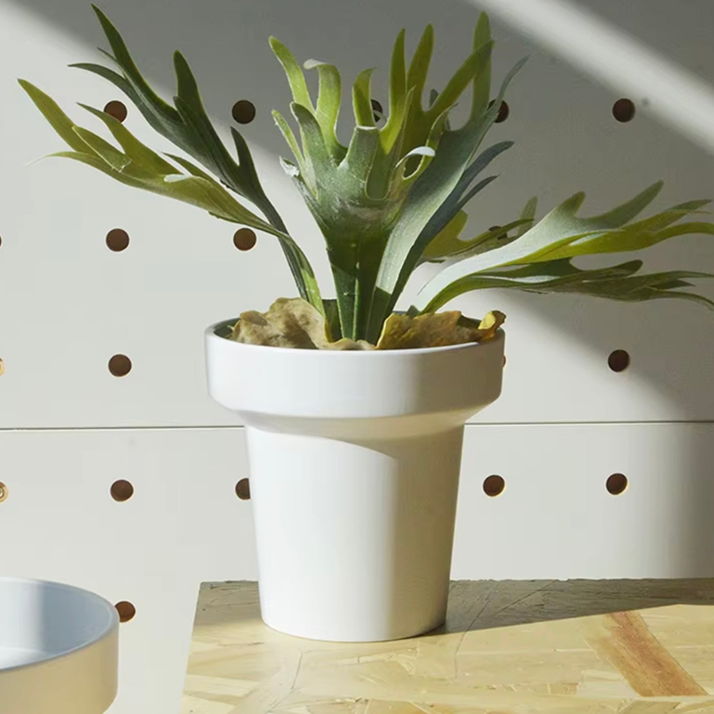 5.9" Gaia Plant Pot - Set of 2