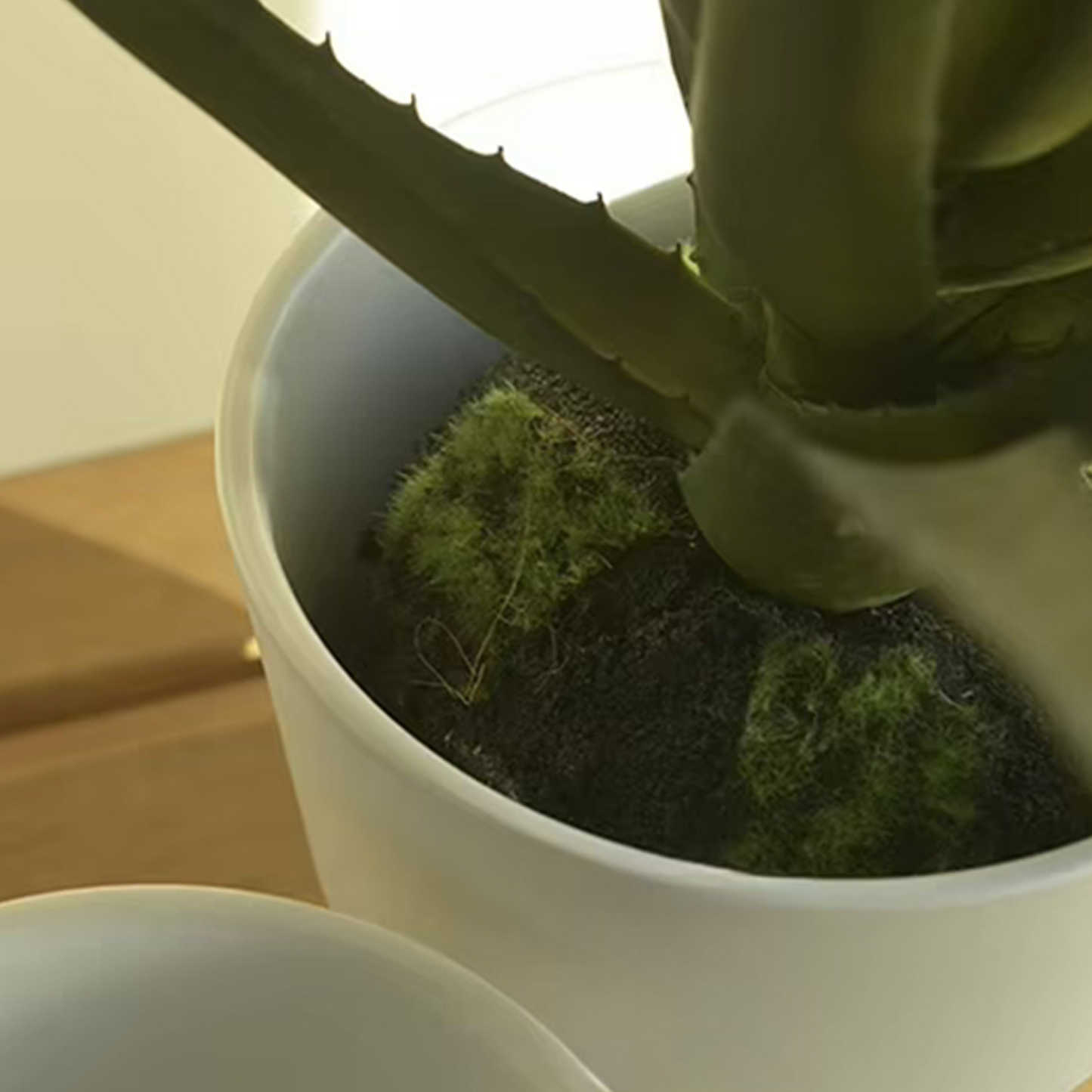 5.9" Luna Plant Pot - Set of 2