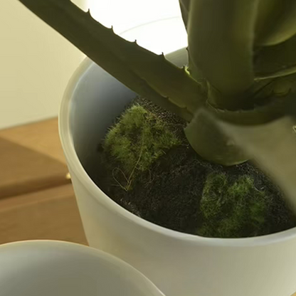 5.9" Luna Plant Pot - Set of 2