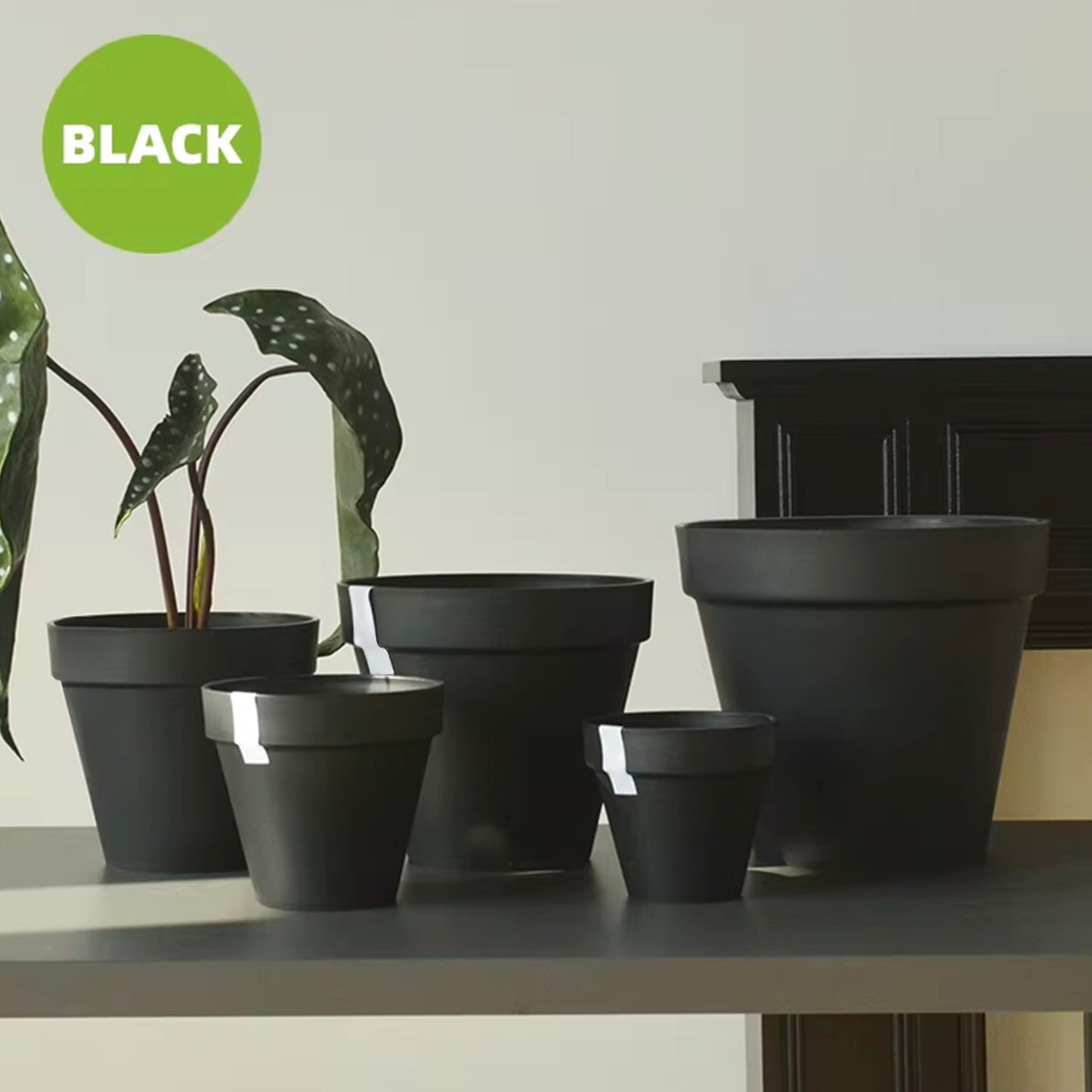 10.6" Terra Plant Pot - Set of 2