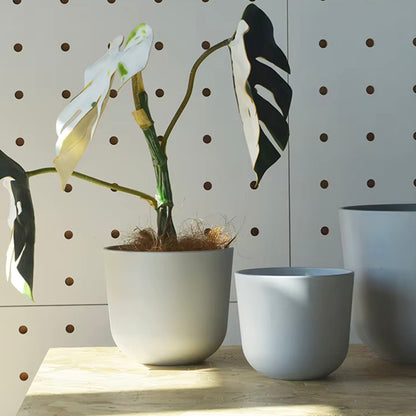 5.1" Brisa Plant Pot - Set of 2