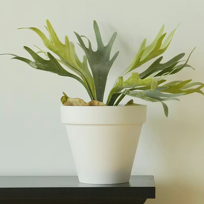 10.6" Terra Plant Pot - Set of 2